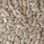 low-price bakery sunflower seed kernels