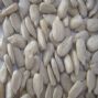 low-price organic confectionary sunflower seed kernels